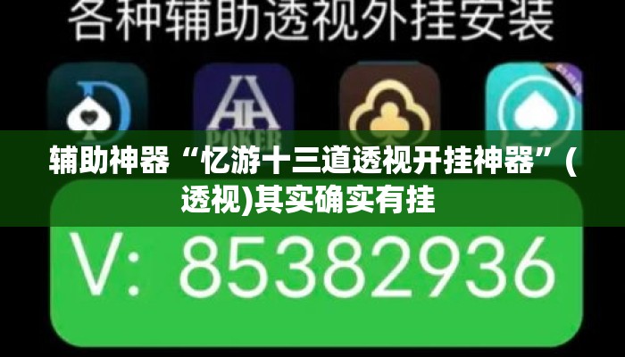 辅助神器“忆游十三道透视开挂神器”(透视)其实确实有挂 