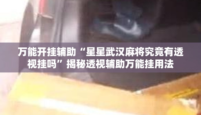 万能开挂辅助“星星武汉麻将究竟有透视挂吗”揭秘透视辅助万能挂用法