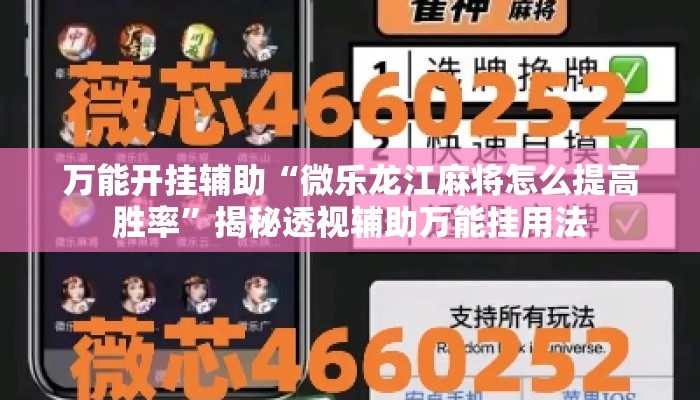 万能开挂辅助“微乐龙江麻将怎么提高胜率	”揭秘透视辅助万能挂用法