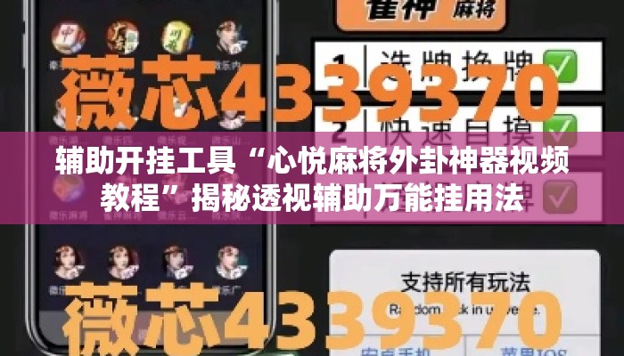 辅助开挂工具“心悦麻将外卦神器视频教程	”揭秘透视辅助万能挂用法