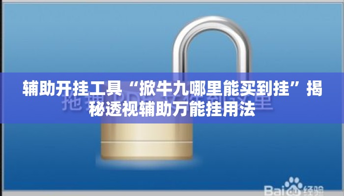 辅助开挂工具“掀牛九哪里能买到挂	”揭秘透视辅助万能挂用法