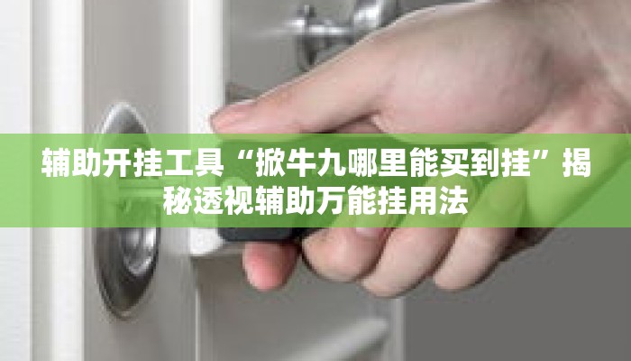 辅助开挂工具“掀牛九哪里能买到挂”揭秘透视辅助万能挂用法