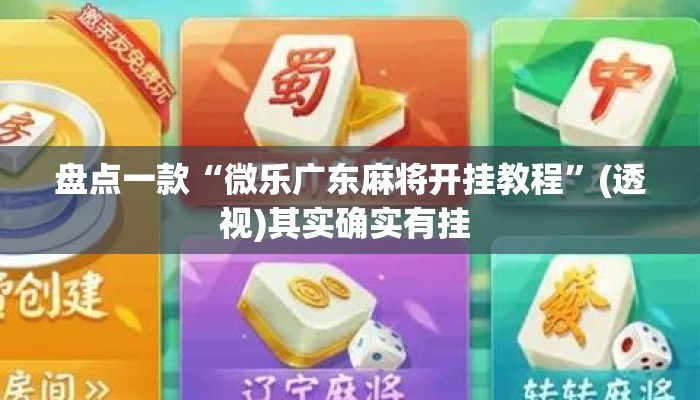 盘点一款“微乐广东麻将开挂教程”(透视)其实确实有挂 