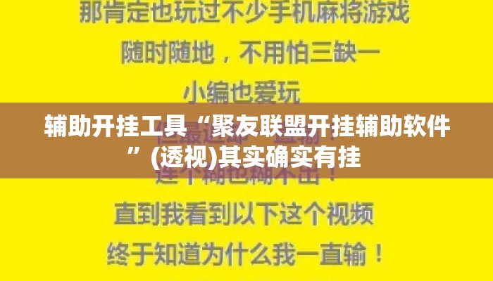 辅助开挂工具“聚友联盟开挂辅助软件”(透视)其实确实有挂 