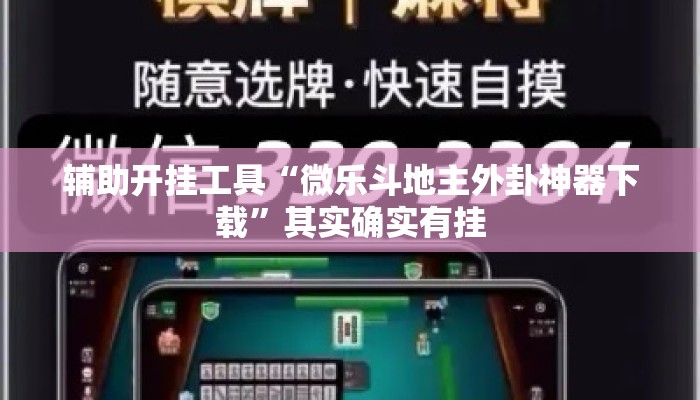 辅助开挂工具“微乐斗地主外卦神器下载	”其实确实有挂