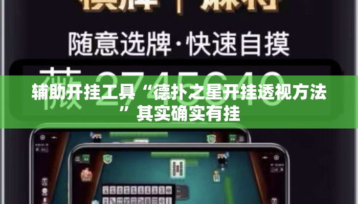 辅助开挂工具“德扑之星开挂透视方法”其实确实有挂