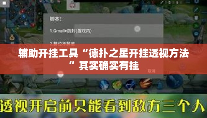 辅助开挂工具“德扑之星开挂透视方法”其实确实有挂