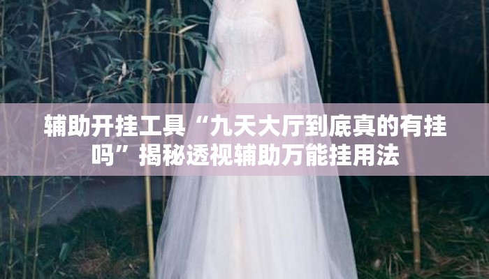 辅助开挂工具“九天大厅到底真的有挂吗	”揭秘透视辅助万能挂用法