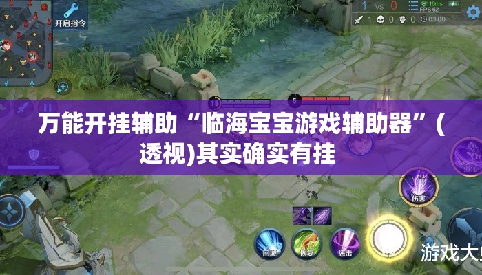 万能开挂辅助“临海宝宝游戏辅助器”(透视)其实确实有挂 