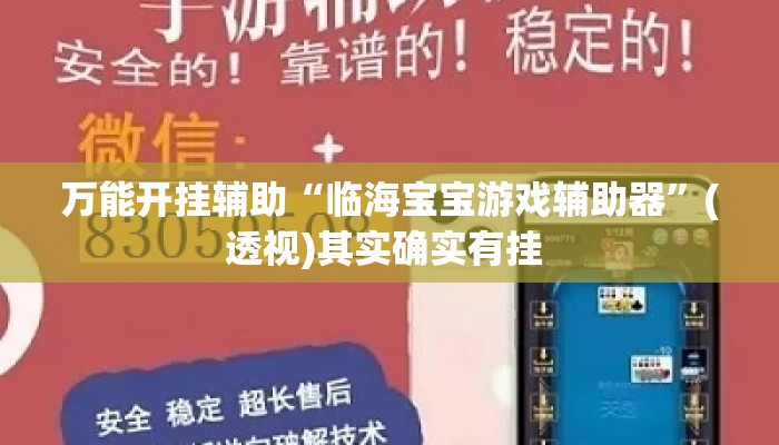 万能开挂辅助“临海宝宝游戏辅助器	”(透视)其实确实有挂 