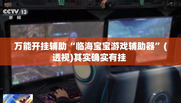 万能开挂辅助“临海宝宝游戏辅助器”(透视)其实确实有挂 