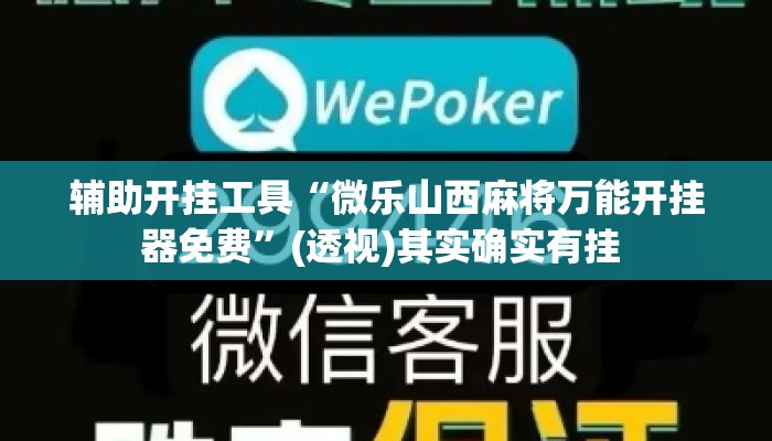 辅助开挂工具“微乐山西麻将万能开挂器免费”(透视)其实确实有挂 