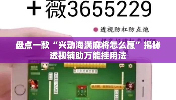 盘点一款“兴动海满麻将怎么赢	”揭秘透视辅助万能挂用法