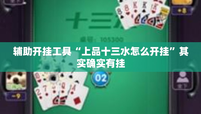 辅助开挂工具“上品十三水怎么开挂”其实确实有挂
