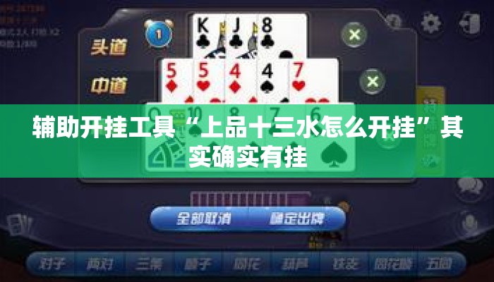辅助开挂工具“上品十三水怎么开挂”其实确实有挂