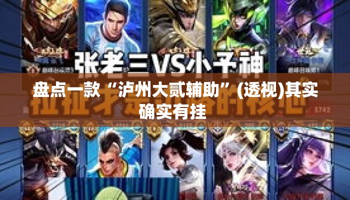 盘点一款“泸州大贰辅助”(透视)其实确实有挂 