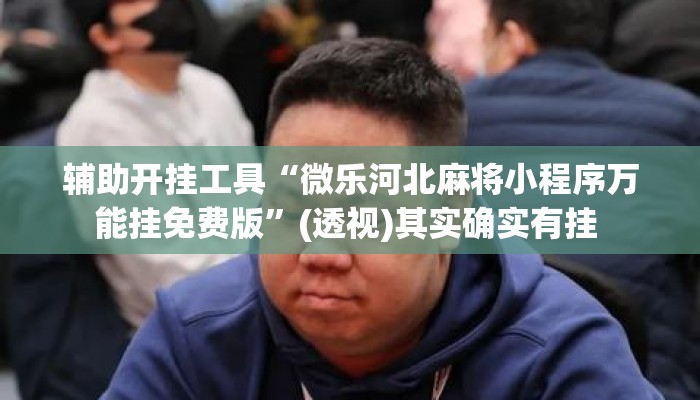 辅助开挂工具“微乐河北麻将小程序万能挂免费版	”(透视)其实确实有挂 