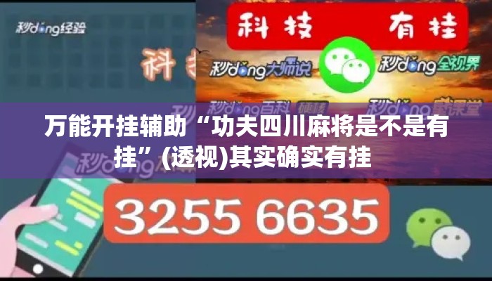 万能开挂辅助“功夫四川麻将是不是有挂”(透视)其实确实有挂 