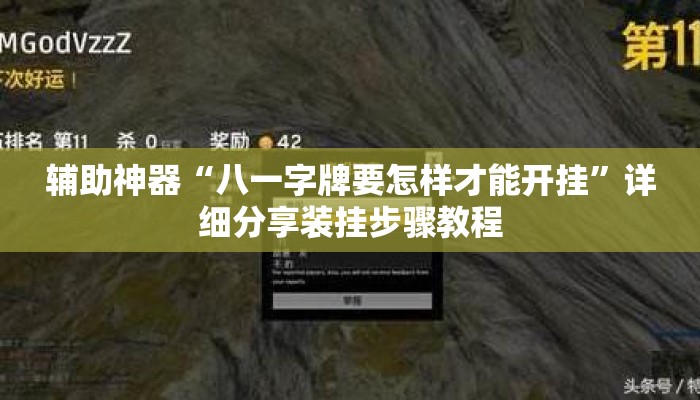辅助神器“八一字牌要怎样才能开挂”详细分享装挂步骤教程