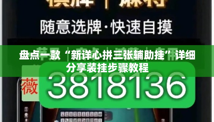盘点一款“新详心拼三张辅助挂	”详细分享装挂步骤教程