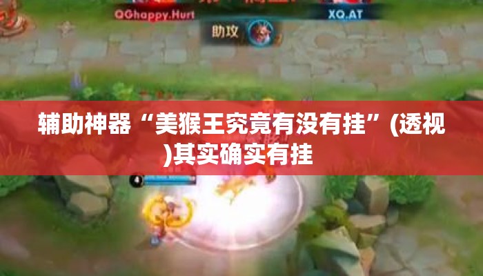辅助神器“美猴王究竟有没有挂”(透视)其实确实有挂 