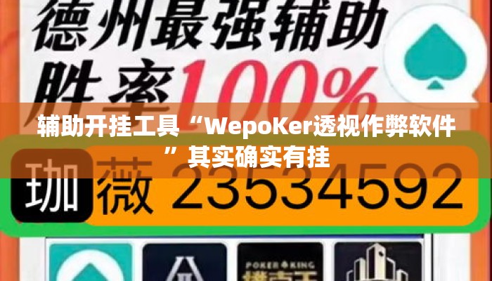 辅助开挂工具“WepoKer透视作弊软件”其实确实有挂
