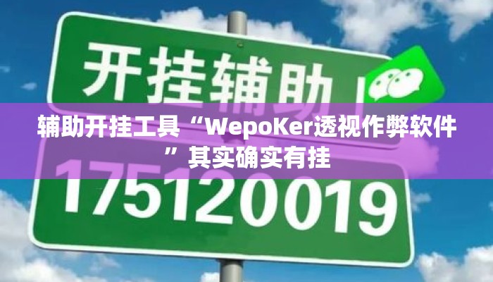 辅助开挂工具“WepoKer透视作弊软件”其实确实有挂
