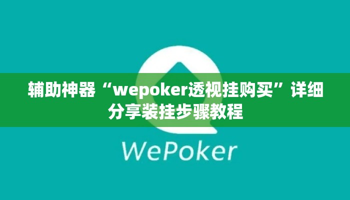 辅助神器“wepoker透视挂购买”详细分享装挂步骤教程