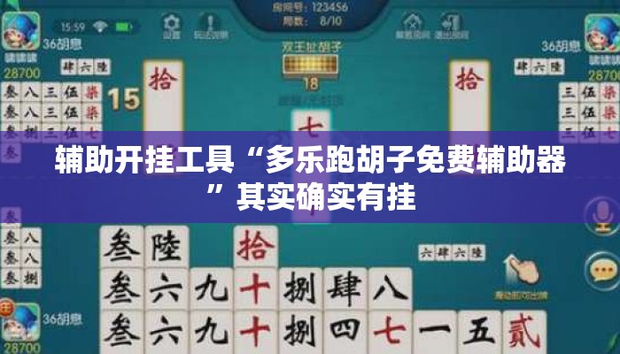 辅助开挂工具“多乐跑胡子免费辅助器”其实确实有挂