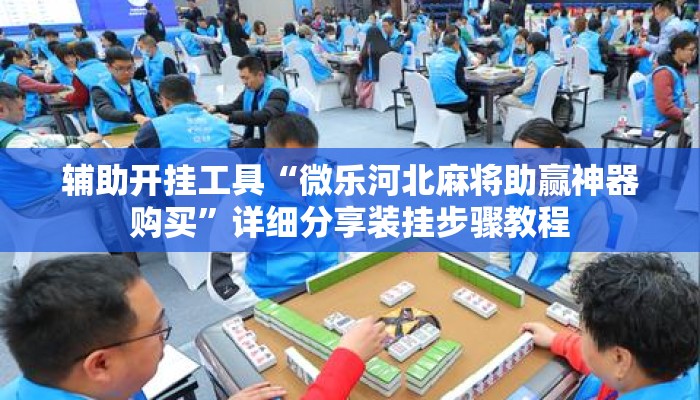 辅助开挂工具“微乐河北麻将助赢神器购买	”详细分享装挂步骤教程