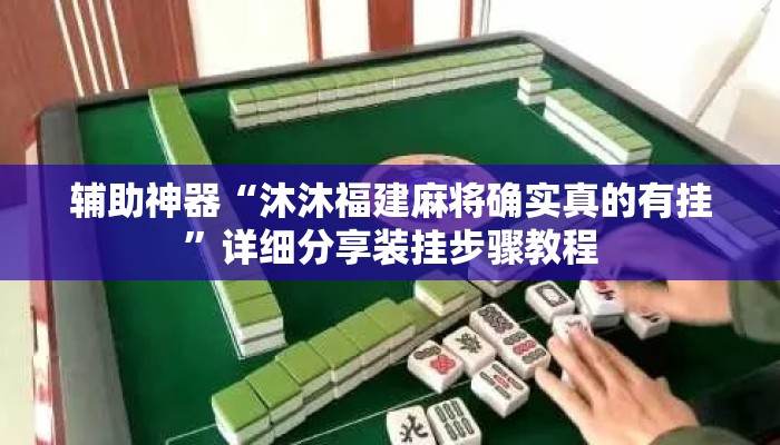 辅助神器“沐沐福建麻将确实真的有挂	”详细分享装挂步骤教程