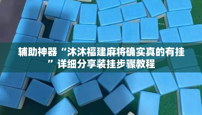 辅助神器“沐沐福建麻将确实真的有挂”详细分享装挂步骤教程