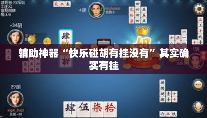 辅助神器“快乐碰胡有挂没有”其实确实有挂
