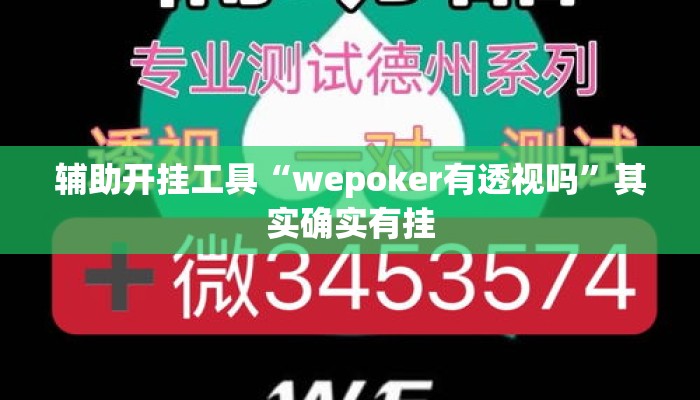 辅助开挂工具“wepoker有透视吗	”其实确实有挂