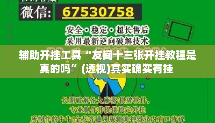 辅助开挂工具“友间十三张开挂教程是真的吗	”(透视)其实确实有挂 