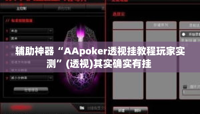 辅助神器“AApoker透视挂教程玩家实测”(透视)其实确实有挂 