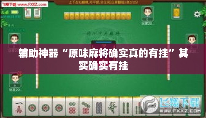 辅助神器“原味麻将确实真的有挂”其实确实有挂