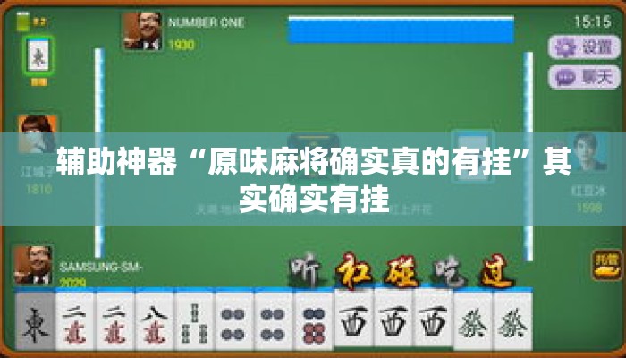辅助神器“原味麻将确实真的有挂	”其实确实有挂