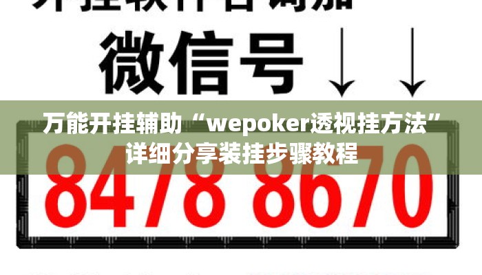 万能开挂辅助“wepoker透视挂方法”详细分享装挂步骤教程