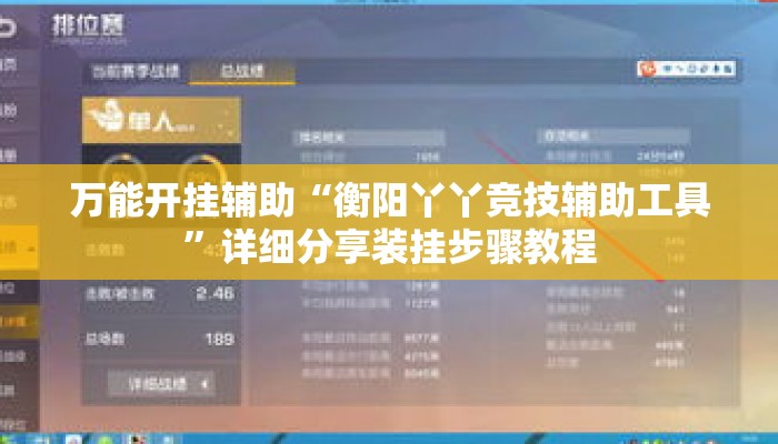 万能开挂辅助“衡阳丫丫竞技辅助工具”详细分享装挂步骤教程