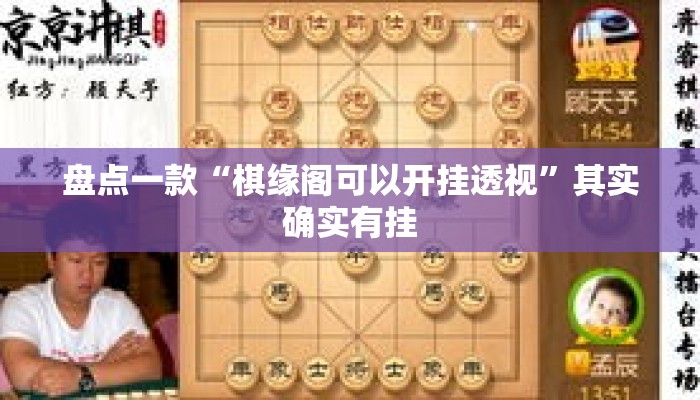 盘点一款“棋缘阁可以开挂透视	”其实确实有挂