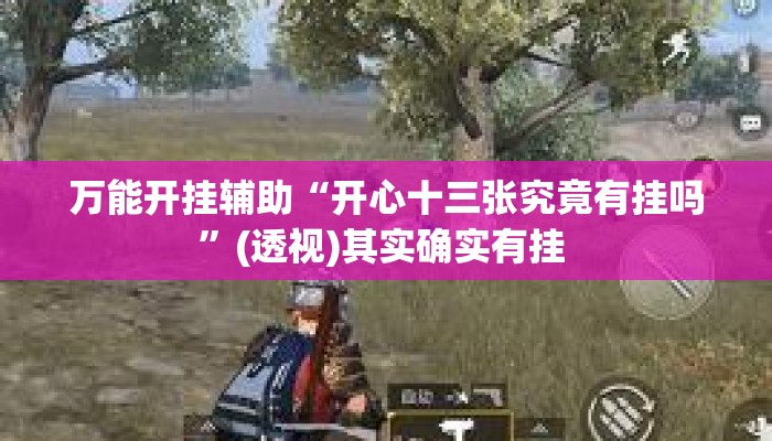 万能开挂辅助“开心十三张究竟有挂吗	”(透视)其实确实有挂 