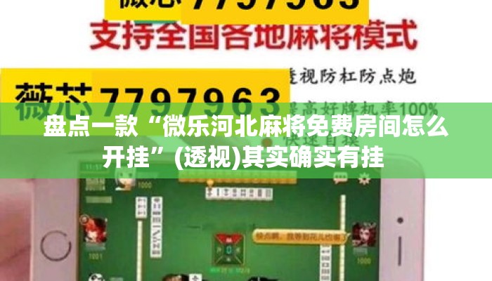 盘点一款“微乐河北麻将免费房间怎么开挂”(透视)其实确实有挂 