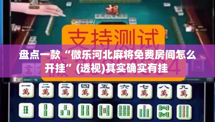 盘点一款“微乐河北麻将免费房间怎么开挂	”(透视)其实确实有挂 