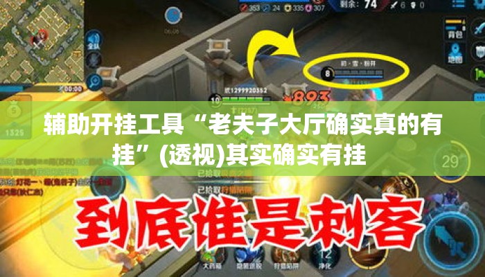 辅助开挂工具“老夫子大厅确实真的有挂	”(透视)其实确实有挂 