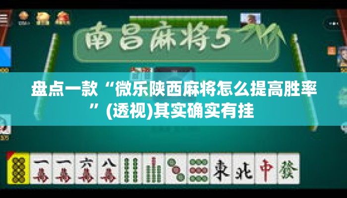 盘点一款“微乐陕西麻将怎么提高胜率”(透视)其实确实有挂 