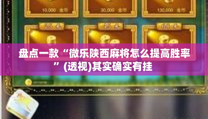 盘点一款“微乐陕西麻将怎么提高胜率	”(透视)其实确实有挂 