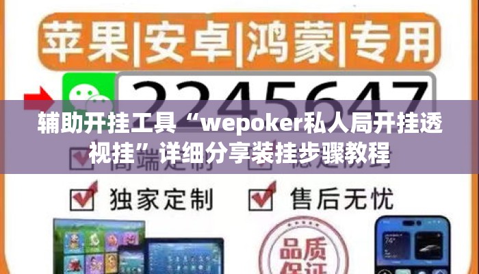 辅助开挂工具“wepoker私人局开挂透视挂”详细分享装挂步骤教程