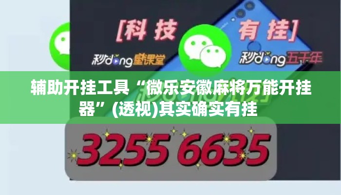 辅助开挂工具“微乐安徽麻将万能开挂器”(透视)其实确实有挂 