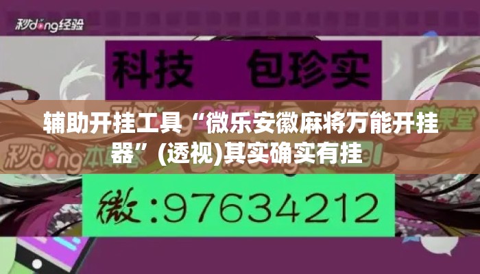 辅助开挂工具“微乐安徽麻将万能开挂器	”(透视)其实确实有挂 